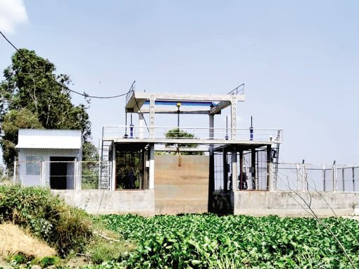 Xâm nhập mặn trên địa bàn TP Cần Thơ vào những ngày đầu tháng 3