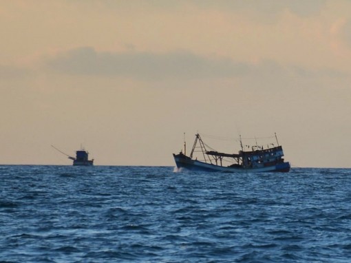 Cà Mau: Phạt hơn 1 tỉ đồng chủ tàu khai thác không phép ở nước ngoài