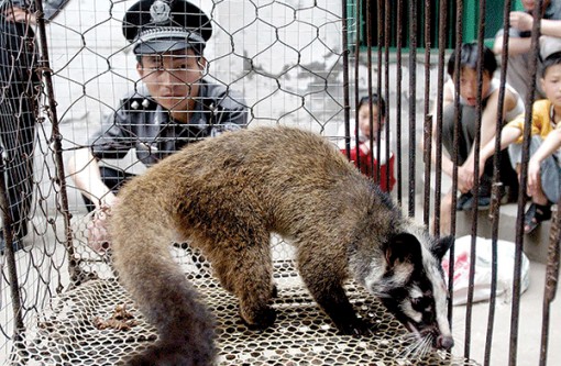 Trung Quốc khó cấm buôn bán động vật hoang dã