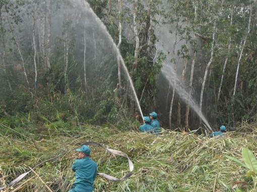 Cà Mau: Hơn 34.700 ha rừng báo cháy cấp cực kỳ nguy hiểm