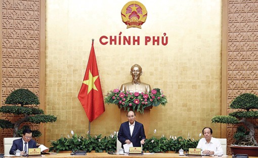 Dịch bệnh làm khó khăn gấp đôi, chúng ta phải cố gắng gấp ba