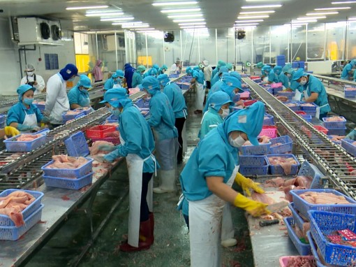 Doanh nghiệp phải khỏe

mới “hấp thụ” được chính sách