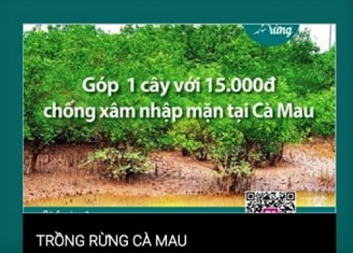 Xác minh thông tin “góp tiền trồng rừng” tại Mũi Cà Mau