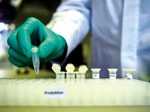 EU hạn chế xuất khẩu thiết bị y tế