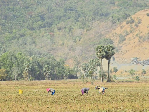 Bảy Núi mùa khát nước