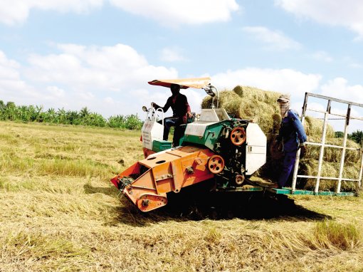 Khuyến khích thu gom, sử dụng hiệu quả rơm rạ