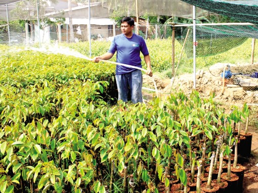 Nguồn cung giảm, giá tăng