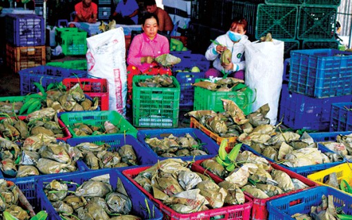 Xoài Đài Loan có giá 8.000 đồng/kg