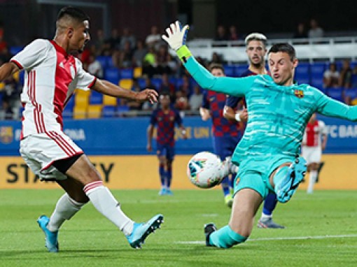 Đóa hoa tulip chớm nở