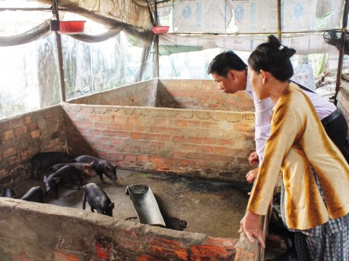 Hỗ trợ người chăn nuôi tái đàn