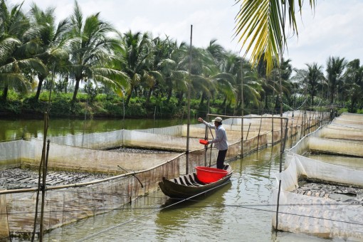Chinh phục mục tiêu mới...