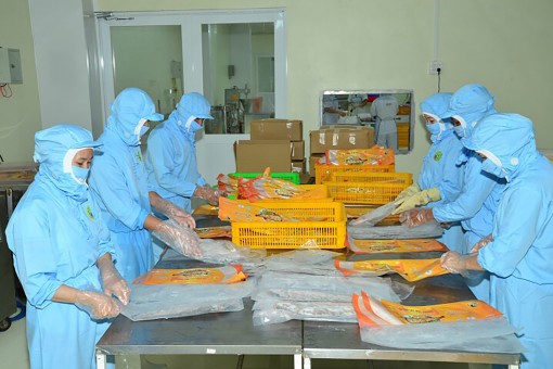 Bộ luật Lao động có nhiều điểm mới về hợp đồng lao động