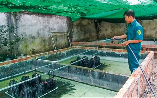 Phát huy thế mạnh kinh tế nông nghiệp