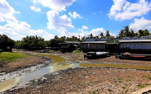 Hạn hán khốc liệt ở Cà Mau