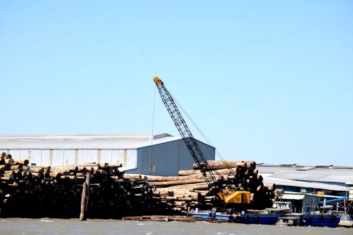 Quý I-2020, chỉ số phát triển sản xuất công nghiệp

tăng 4,6%