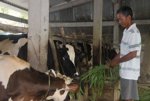 Vùng đồng bào Khmer miền Tây Nam bộ thay áo mới<br>Bài 3: Lo sinh kế, lo an cư cho đồng bào