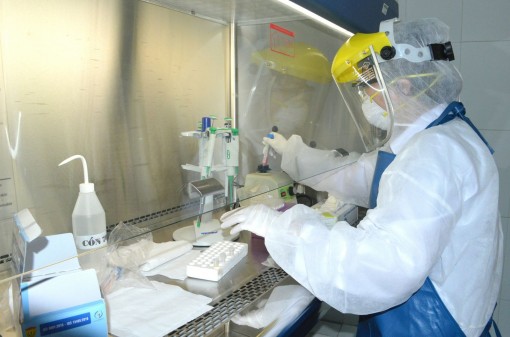 COVID-19 được xét nghiệm thế nào?