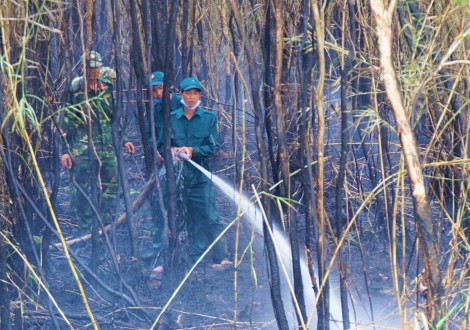 Cà Mau: Lại cháy tại vùng đệm rừng U Minh Hạ
