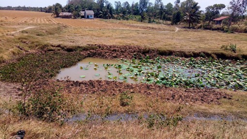 Xâm nhập mặn ở ĐBSCL  sẽ giảm nhanh từ giữa tháng 4 đến đầu tháng 5