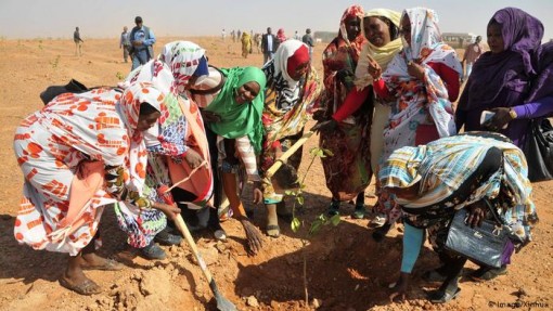 "Giấc mơ xanh" của châu Phi