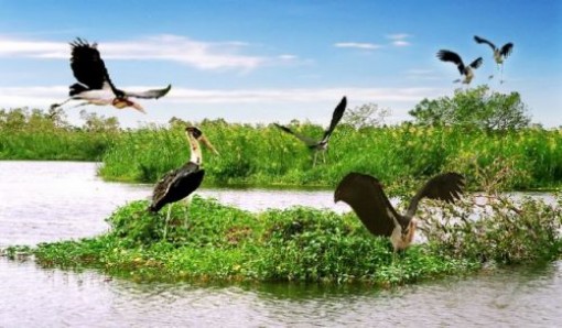 Về U Minh Thượng