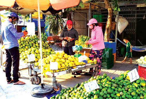 Nhà vườn mong đầu ra trái cây thuận lợi hơn