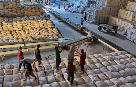 Phối hợp rà soát, nắm sản lượng để xem xét, đề xuất Chính phủ về xuất khẩu gạo nếp trong thời gian tới