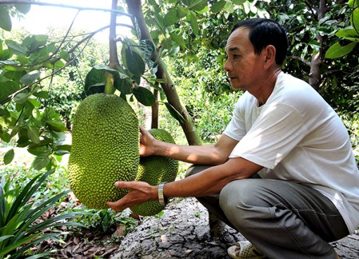 Hiệu quả tín dụng chính sách ủy thác qua các Hội đoàn thể