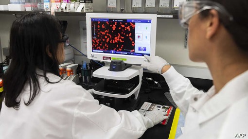 Nghiên cứu của Mỹ về COVID-19

bị tin tặc tấn công