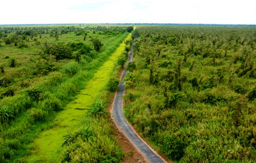 Ngày đêm giữ rừng U Minh Hạ