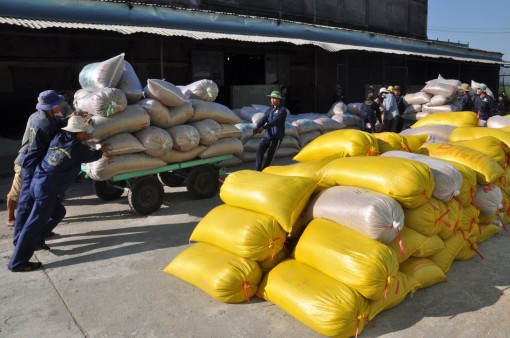 Cần giải cứu lượng gạo đang chờ xuất khẩu