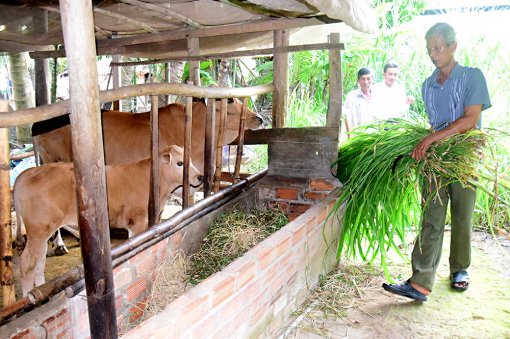 ធ្វើ​ឱ្យ​សុក្រឹត​និង​លើក​ជូន​រដ្ឋា​ភិបាល​ពិនិត្យ​វាយ​តម្លៃ​សេច​ក្ដី​ពង្រាង​កម្ម​វិធី​ទិស​ដៅ​ជាតិ​អភិវឌ្ឍសេដ្ឋ​កិច្ច​-សង្គម​ តំ​បន់​ជន​ជាតិ​ភាគ​តិ​ច​និង​តំ​បន់​ភ្នំ​ ដំណាក់​កាល​២​០២​១​-២​០៣​០