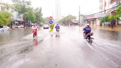 Mưa trái mùa -

mừng nhưng lo...