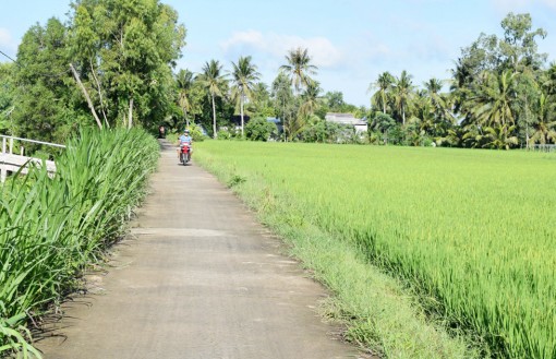 មីចាញ់​ ជំរុញ​ការ​ងារ​កាត់​បន្ថយ​ភាព​ក្រី​ក្រ