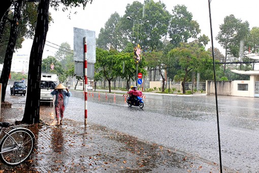 Mưa đầu mùa, cảnh giác phòng bệnh sốt xuất huyết