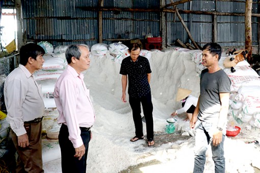 Cựu chiến binh thi đua thực hiện thắng lợi nhiệm vụ