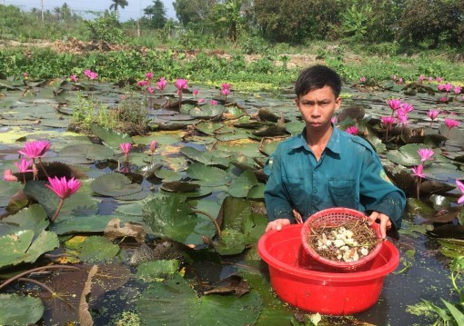 Mô hình nuôi ốc mới lạ 