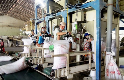 55.400 doanh nghiệp thành lập mới và quay trở lại hoạt động