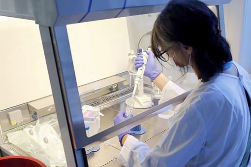 Tìm mọi cách để phát triển vaccine COVID-19