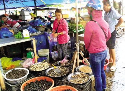 Nhu cầu ở mức cao, ốc bươu đen

hút hàng, giá tăng mạnh