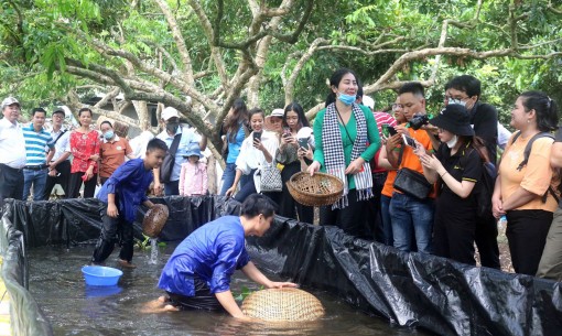 Cồn Sơn đón khách trở lại

từ ngày 11-5