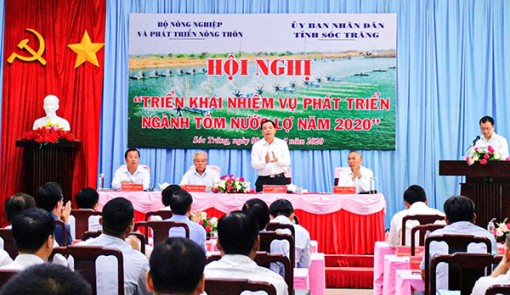 Từ nay đến cuối năm 2020, thị trường xuất khẩu tôm có nhiều tín hiệu khả quan