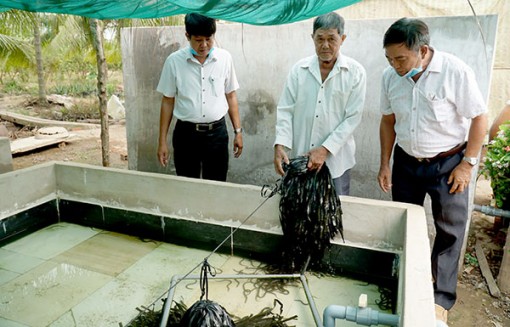 Thi đua gương mẫu