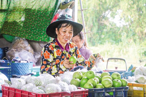 Thay đổi tư duy làm nông nghiệp