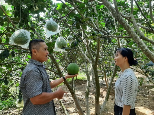 Trà An chuyển mình
