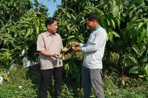 Khi ý Đảng hợp lòng Dân