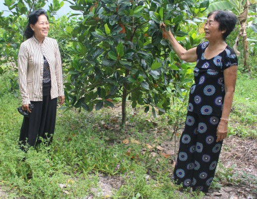 Đoàn kết giúp nhau vượt khó