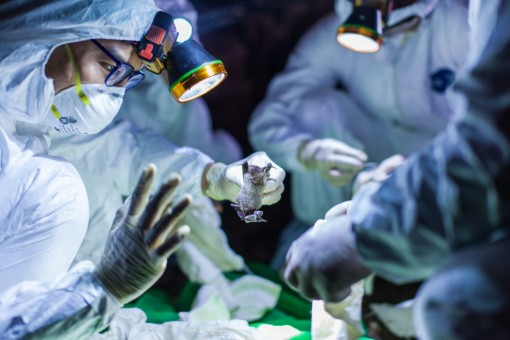 COVID-19 châm ngòi cuộc đua phòng thủ sinh học