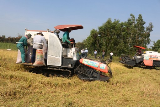 Chuyển biến tích cực trong cơ giới hóa sản xuất nông nghiệp