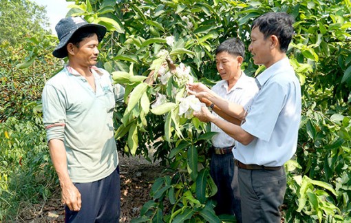 Đưa nghị quyết vào cuộc sống